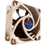 Noctua NF-A6x25 PWM ventilateur de boîtier 60 x 60 x 25 mm