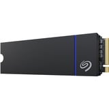 Seagate  SSD 