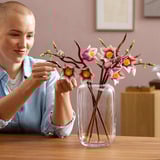 LEGO Botanicals Branches de magnolia, Jouets de construction Vente au détail