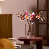 LEGO Botanicals Branches de magnolia, Jouets de construction Vente au détail