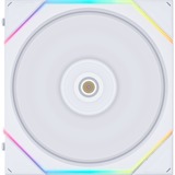 Lian Li UNI FAN TL140 ventilateur de boîtier RGB  Blanc, 144 x 140 x 28 mm