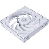 Lian Li UNI FAN TL140 ventilateur de boîtier RGB  Blanc, 144 x 140 x 28 mm