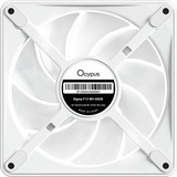 Ocypus Sigma F12 ARGB ventilateur de boîtier Blanc, 120 x 120 x 25 mm, PWM