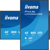 iiyama LH4366UHSB-B1AG, Affichage public Noir (Mat)