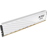 ADATA 32 Go DDR5-6000 (2x 16 Go) mémoire vive Blanc, AX5U6000C3616G-DTLABWH, XMP 3.0, EXPO