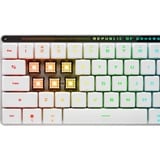 ASUS ROG Falchion RX Low Profile clavier Gaming USB + RF Wireless + Bluetooth QWERTZ Blanc Blanc, Layout DE, ROG RX Red, Avec fil &sans fil, USB + RF Wireless + Bluetooth, Interrupteur à clé optique, QWERTZ, LED RGB, Blanc