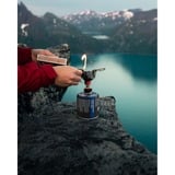 Coleman Cartouche de gaz à valve C300 Performance 