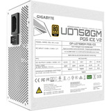 GIGABYTE GP-UD750GM PG5 ICE alimentation modulaire 750 watt Blanc, 1x 12V-2x6, 4x PCIe