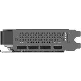 PNY GeForce RTX 5070 Slim OC, Carte graphique 