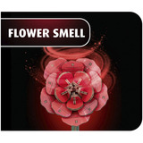 Revell Dream of Roses fleurs en bois, Décoration Bois, Vente au détail