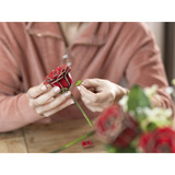 Revell Dream of Roses fleurs en bois, Décoration Bois, Vente au détail