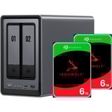 UGREEN DXP2800 + 2x 6 TB Seagate IronWolf HDD Pack, NAS 