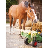 BIG Fendt GT, Véhicules pour enfants Vert