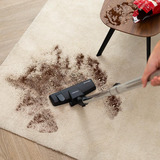 Cecotec Conga Powerbag 2500 Compact Plus, Aspirateur Noir