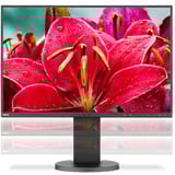 NEC  24" Moniteur  Noir