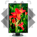 NEC  24" Moniteur  Noir