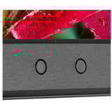 NEC  24" Moniteur  Noir