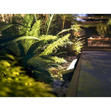 Philips Hue White & Color Ambiance Amarant lampe linéaire extérieure, Lumière LED Noir