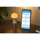 AVM FRITZ!DECT 500, Lampe à LED FRITZ!DECT 500, Ampoule intelligente, Argent, Transparent, Blanc, LED, Multicolore, 2700 K, 6500 K