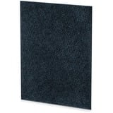 Beurer Set de filtres de rechange pour LR 500 