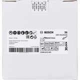 Bosch R780 Disque de ponçage, Meule d’affûtage Disque de ponçage, Acier inoxydable, Acier, 12,5 cm, Bosch, Moyeu plat, 2,22 cm