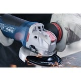 Bosch R780 Disque de ponçage, Meule d’affûtage Disque de ponçage, Acier inoxydable, Acier, 12,5 cm, Bosch, Moyeu plat, 2,22 cm