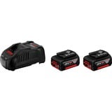 Bosch Starter-Set Batterie, Chargeur Noir, Batterie, Lithium-Ion (Li-Ion), 5 Ah, 18 V, GAL 1880 CV, Noir