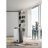 DeLonghi DNS65 2,8 L 34 dB Noir, Gris, Déshumidificateur Noir/Blanc, 220 - 240 V, 50 Hz, 1 - 35 °C, 30 - 95%, 340 mm, 192 mm