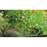 GARDENA 532-20 Bordure de jardin Rouleau de bordure de jardin Plastique Noir, Barrière Marron, Rouleau de bordure de jardin, Plastique, Noir, 150 mm, 9000 mm, 1 pièce(s)