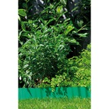 GARDENA 536-20 Bordure de jardin Rouleau de bordure de jardin Plastique Vert, Barrière Vert, Rouleau de bordure de jardin, Plastique, Vert, 90 mm, 9000 mm, 1 pièce(s)