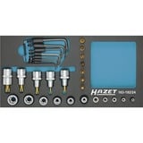 Hazet Jeu d'embouts à douille six pans 163-192/24, taille 1/3, Clés mixtes à cliquet 