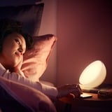 Philips Hue White and Color Ambiance lampe portable Go Blanc, 2000K - 6500K, Dimmable