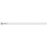 Philips Master ampoule LED 18,2 W G13, Lampe à LED 18,2 W, G13, 2900 lm, 50000 h