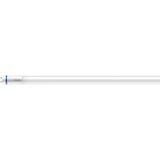 Philips Master ampoule LED 4000 K 12,5 W G13, Lampe à LED 12,5 W, G13, 2100 lm, 50000 h