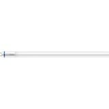 Philips Master ampoule LED 6500 K 18,2 W G13, Lampe à LED 18,2 W, G13, 3100 lm, 50000 h