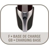 Rowenta Extenso Dry AC4769 aspirateur de table Noir, Marron, Argent Sans sac, Aspirateur à main Noir/Argent, Sec, Cyclonique, Chine, Sans sac, Noir, Marron, Argent, 0,375 L