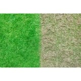 Ryobi RY18SFX35A-0 Tondeuse à gazon poussée Batterie Noir, Vert, Scarificateur Vert/Noir, Tondeuse à gazon poussée, 35 cm, 55 L, 4 roue(s), Sans brosse, 1,5 m/s²