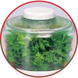 Tefal DPA 130 LA MOULINETTE 1000 1000 W Transparent, Blanc, Broyeur Blanc, 0,3 kg, Transparent, Blanc, 1000 W