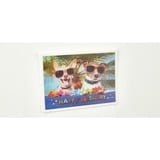 fischer Griffe magnétique GOW, Aimant Argent