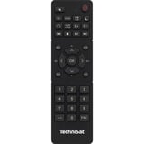 TechniSat DIGITRADIO 10 C Noir/Argent, Bluetooth, DAB+