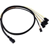 Broadcom SFF8643 > 4x SATA, Adaptateur 1 mètre