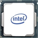 Intel® Xeon E-2176G processeur 3,7 GHz 12 Mo Smart Cache Boîte socket 1151 processeur Intel Xeon E, LGA 1151 (Emplacement H4), 14 nm, Intel, E-2176G, 3,7 GHz, processeur en boîte