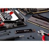 Corsair Force MP510B 480 Go SSD Noir, M.2 2280, PCIe 3.0 x4, TLC, CSSD-F480GBMP510B