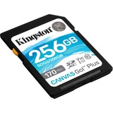 Kingston Canvas Go! Plus 256 Go SDXC, Carte mémoire Noir, UHS-I U3, Class 10, A2