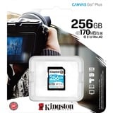 Kingston Canvas Go! Plus 256 Go SDXC, Carte mémoire Noir, UHS-I U3, Class 10, A2