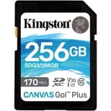 Kingston Canvas Go! Plus 256 Go SDXC, Carte mémoire Noir, UHS-I U3, Class 10, A2