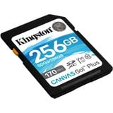 Kingston Canvas Go! Plus 256 Go SDXC, Carte mémoire Noir, UHS-I U3, Class 10, A2