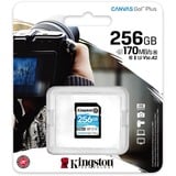 Kingston Canvas Go! Plus 256 Go SDXC, Carte mémoire Noir, UHS-I U3, Class 10, A2