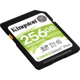 Kingston Canvas Select Plus 256 Go SDXC, Carte mémoire Noir, 256 Go, SDXC