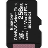 Kingston Canvas Select Plus microSD Card 256 Go, Carte mémoire Noir, SDCS2/256GBSP, Class 10 UHS-I A1